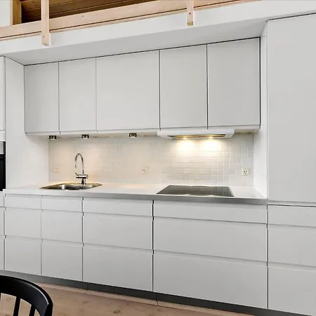 Bl540-saltum-trehoje-9 別荘 *